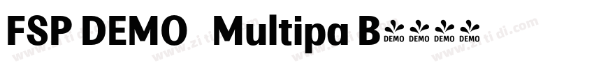 FSP DEMO   Multipa B字体转换